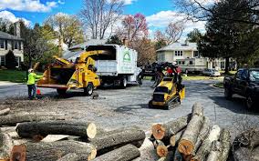 Best Leaf Removal Services  in Reading, PA